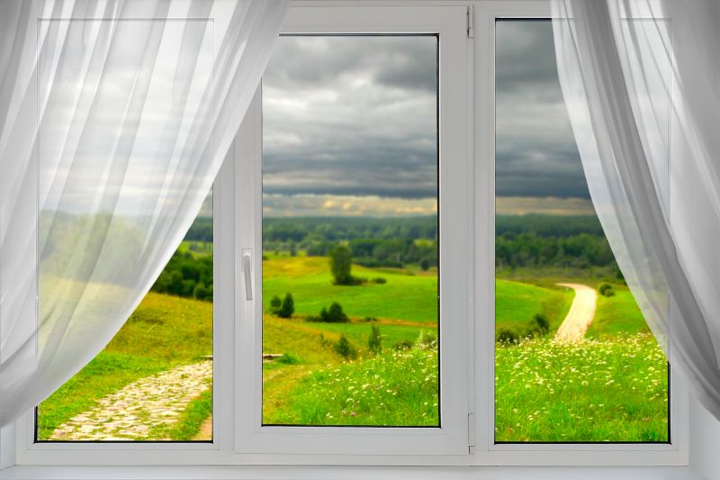 Large Fixed Picture Windows